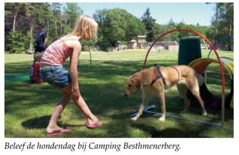 Beleef de hondendag bij Camping Besthmenerberg.