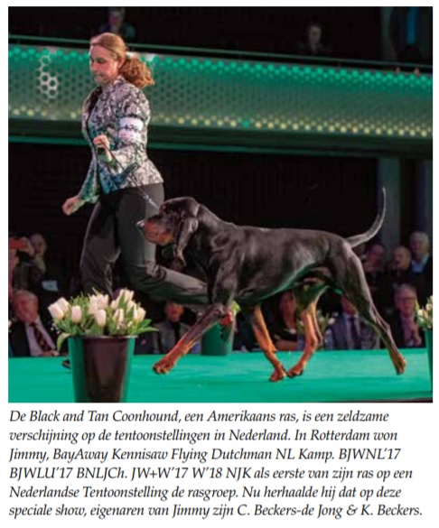 Hond 2018