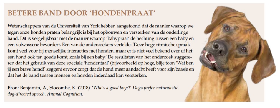 Hond