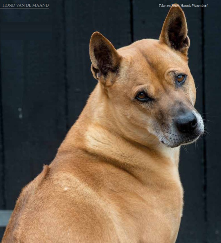 Kito 2