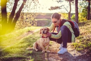Vrouw controleert Hond op teken