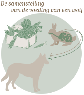 PLATINUM-Advertorial-onze_Hond_1