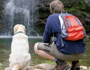 Hond aan het water met baas