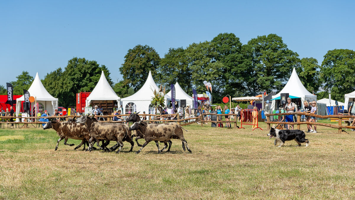 Farm en Country Fair