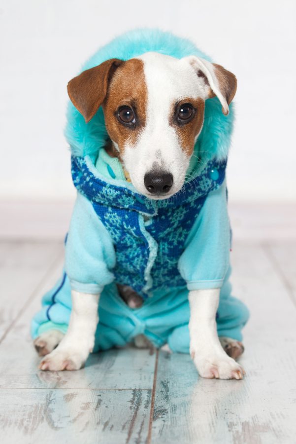 shutterstock_332485562