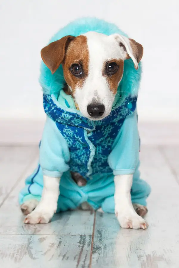 shutterstock_332485562 shutterstock_332485562