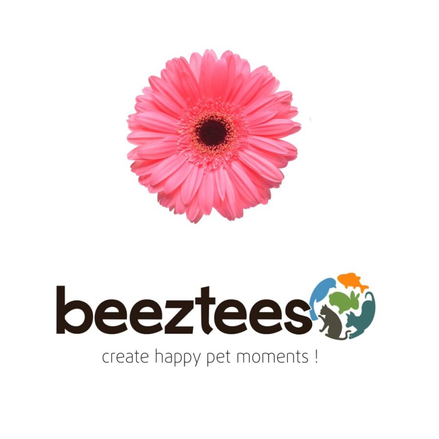 Lentewinactie Beeztees