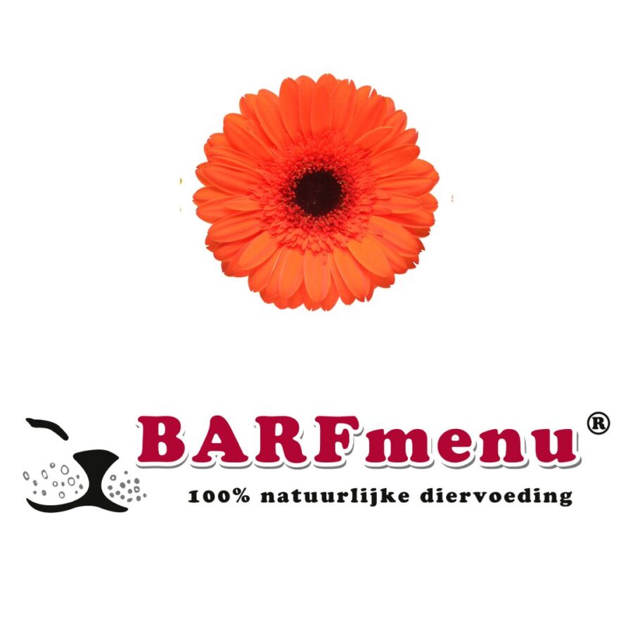 Lente winactie BARFmenu