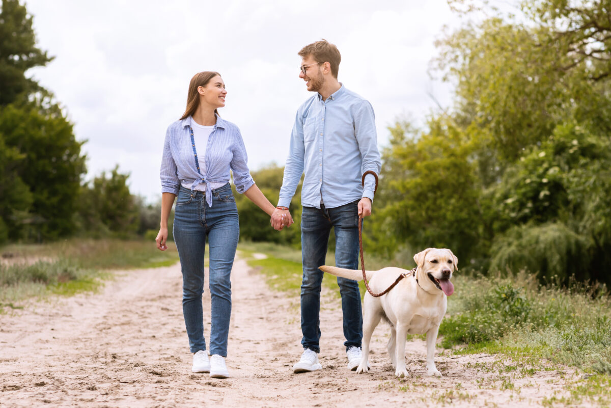 Wandelen in brabant