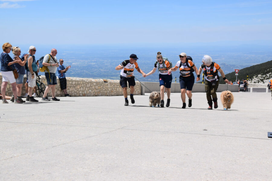 Doodles Mont Ventoux