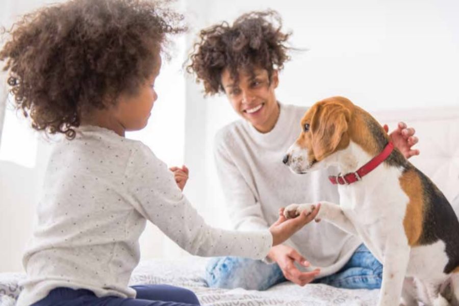 String string Riet Leugen Onze Hond | Artikel over kinderen en honden