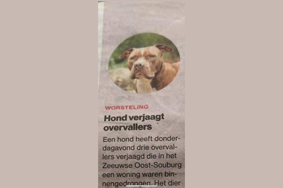 Ongetiteld