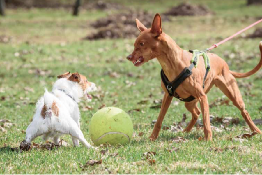Schermafbeelding 2019-10-24 om 14.03.41
