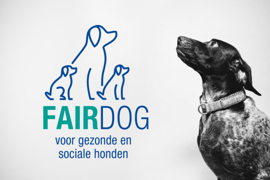 fairdog_web