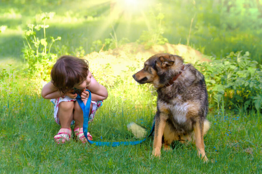 Happy,Little,Girl,Playing,With,Big,Dog,In,The,Garden